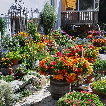 Seraina Apartamento Sils-Maria