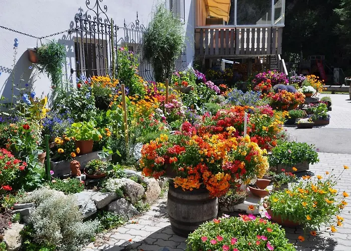 Seraina Apartamento Sils-Maria